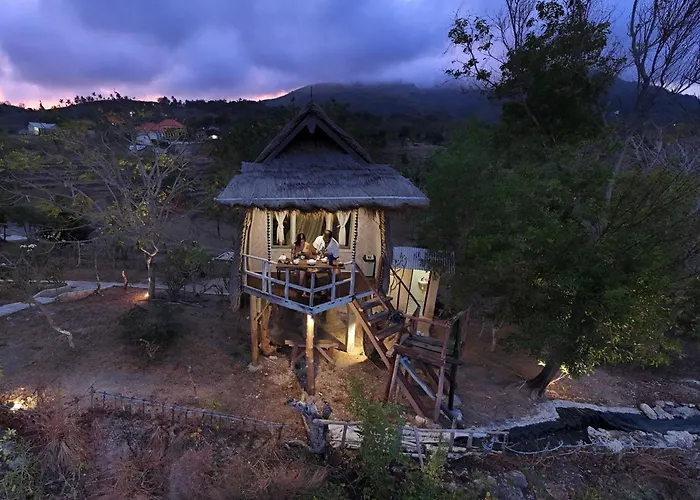 Eco-Tourist Dreamstay Treehouse